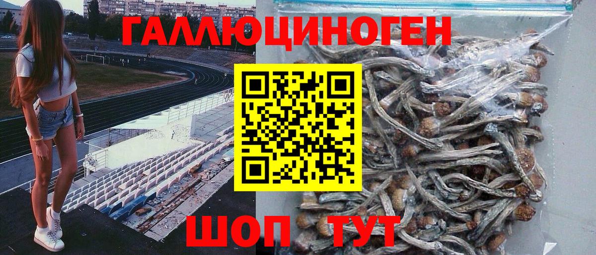 Псилоцибиновые грибы прущие грибы Новокуйбышевск